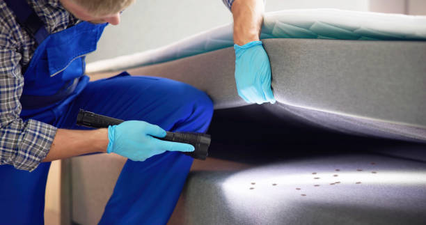 Best Local Pest Control Services  in Oakland, OK