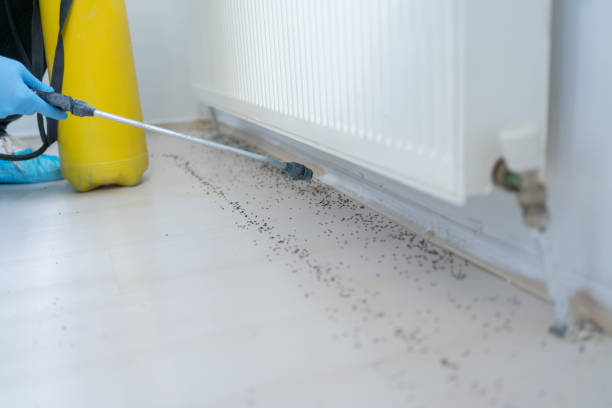 Best Affordable Pest Control Services  in Oakland, OK