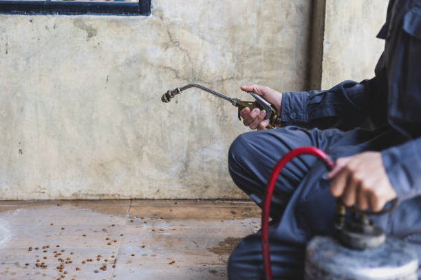 Best Best Pest Control Companies  in Oakland, OK